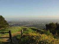 Berkeley Hills Path