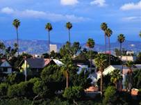 Santa Monica Landscape